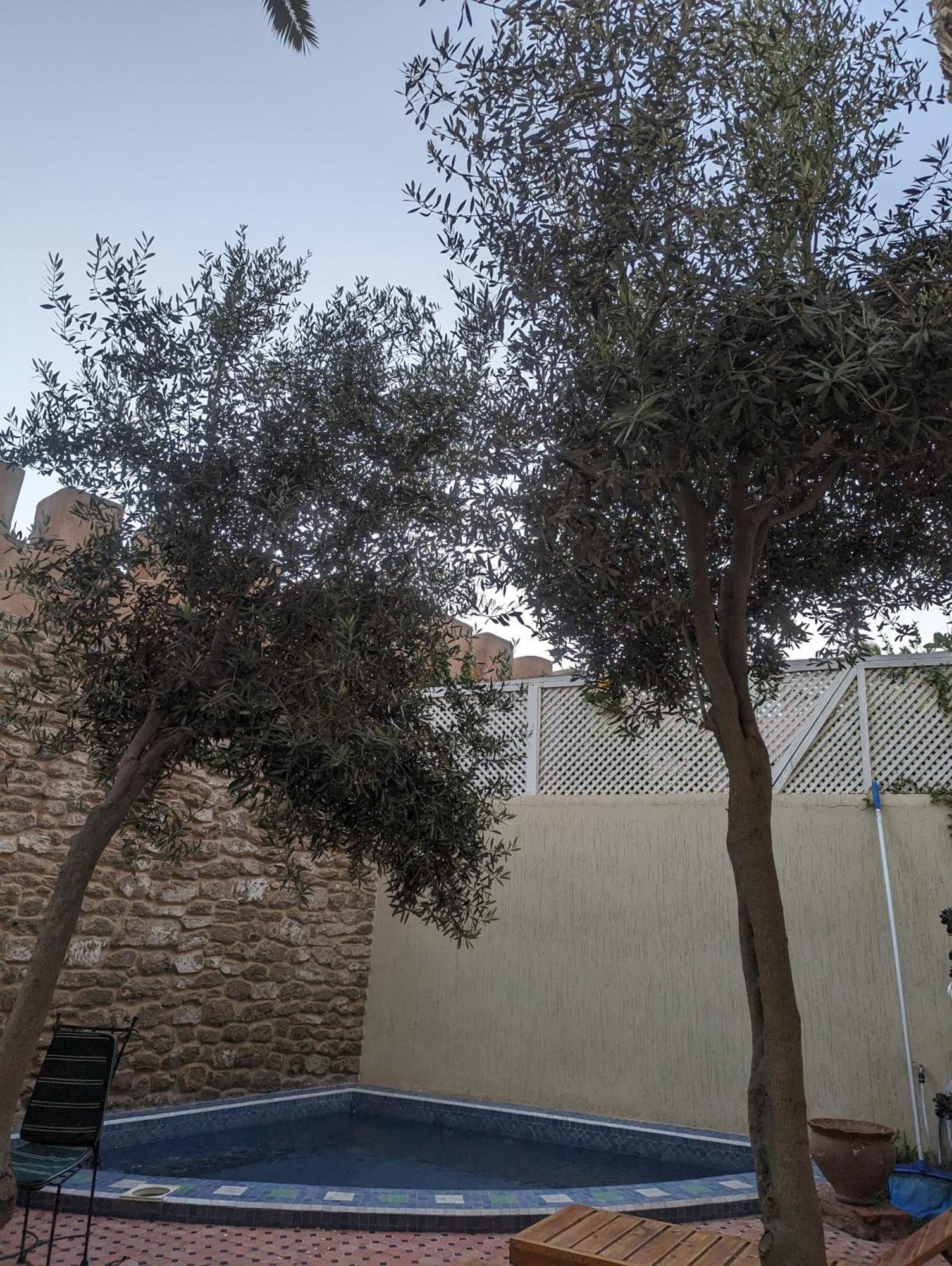 Aghata Palms Riad Suvayr Dış mekan fotoğraf