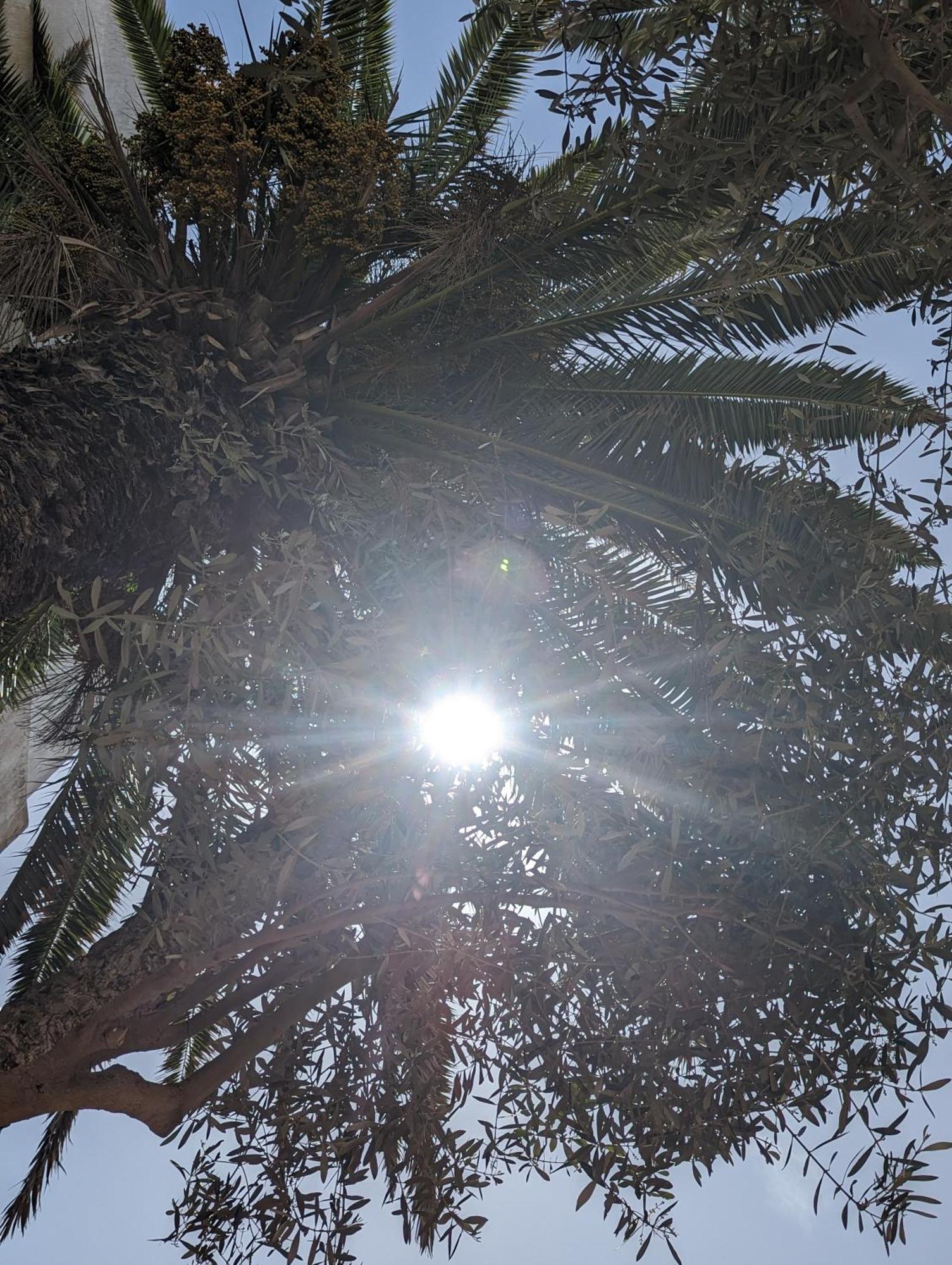 Aghata Palms Riad Suvayr Dış mekan fotoğraf